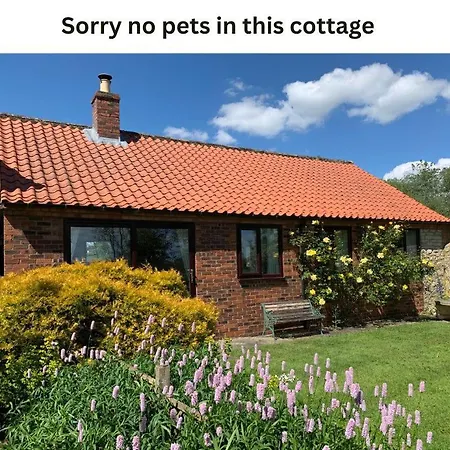 Holiday home Costa Mill Pickering