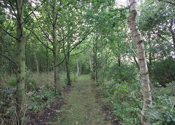 Costa Mill Pickering